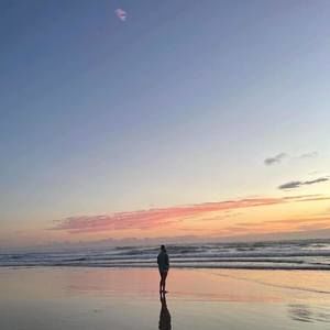 Meet your Posher, Cedar